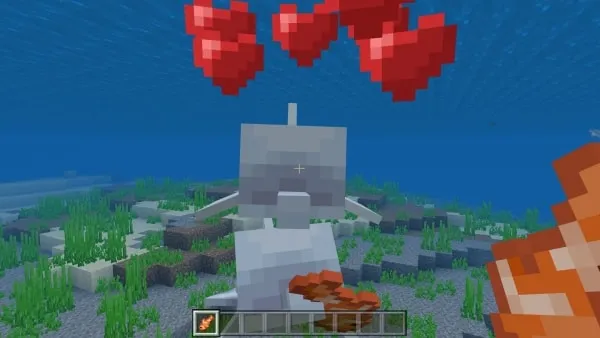 Tamed Dolphin