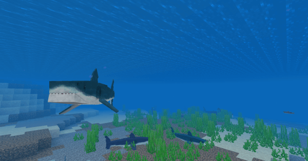 Blue Shark: Screenshot