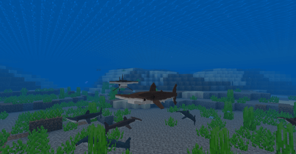 Hammerhead Shark: Screenshot