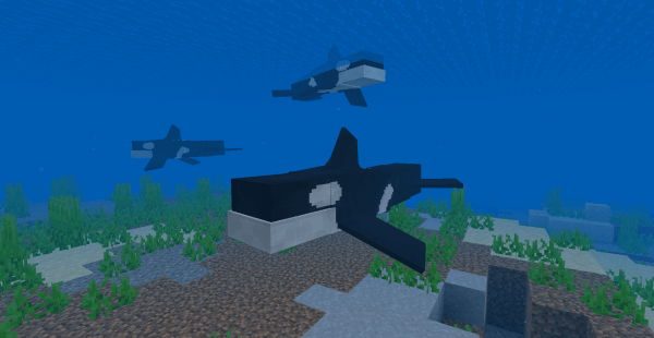 Killer Whale: Screenshot