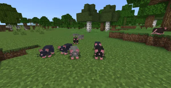 Rats: Screenshot