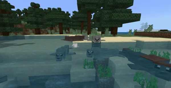 Seals: Screenshot