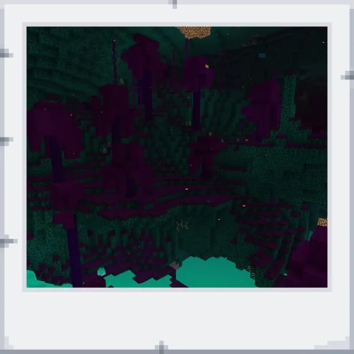 Crimson forest textures