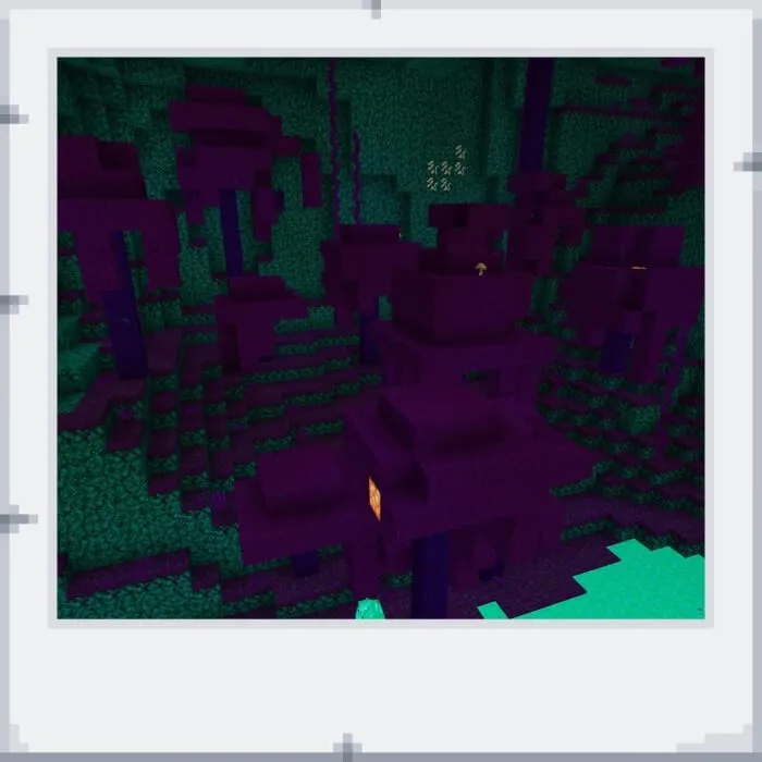 Crimson forest