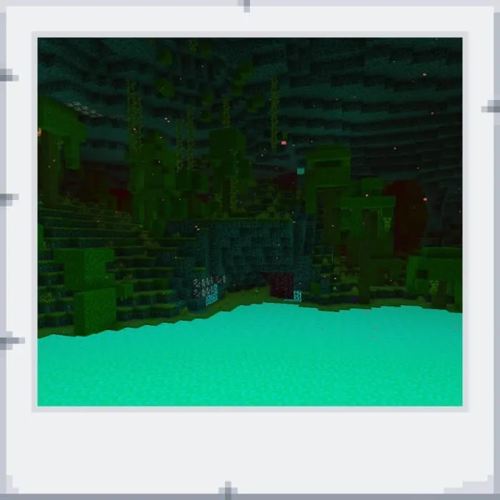 Lava in the Nether