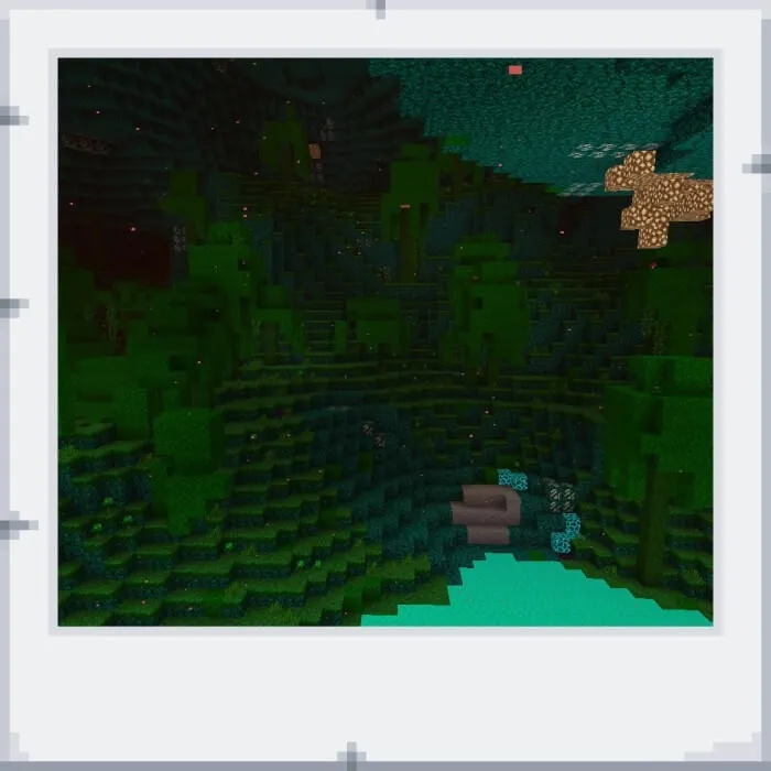 Nether biome