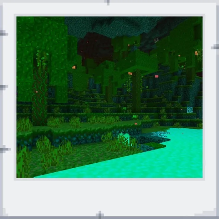 Warped Forest biome