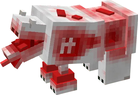 Infected Bear