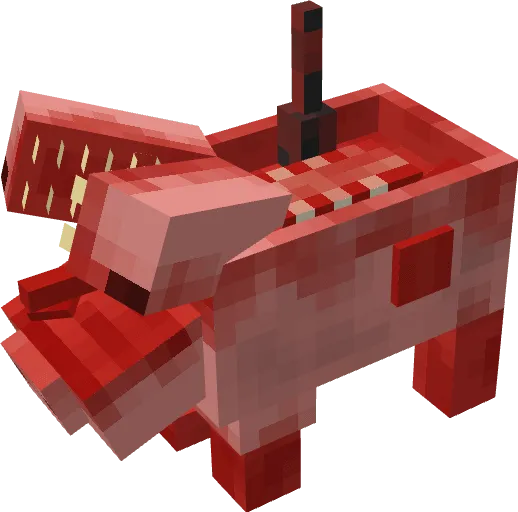 Infected Pig