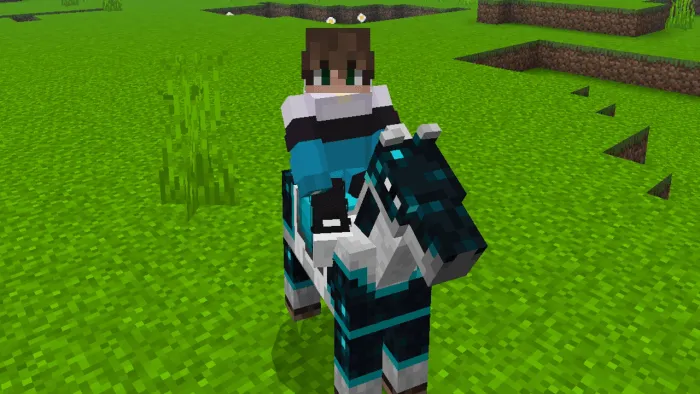 Sculk Horse Armor Texture