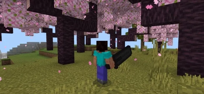 Netherite Sword and Cherry blossom