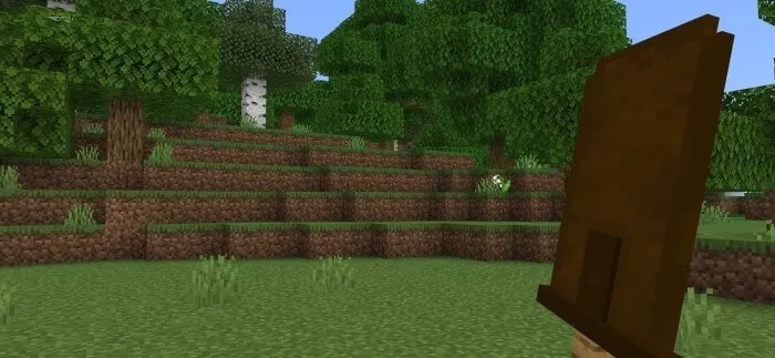 Big Wooden Sword from the first person