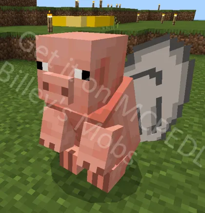 Angel pig.
