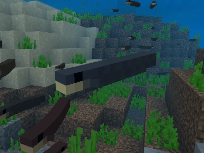 Electric Eel.