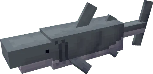 Great white shark.