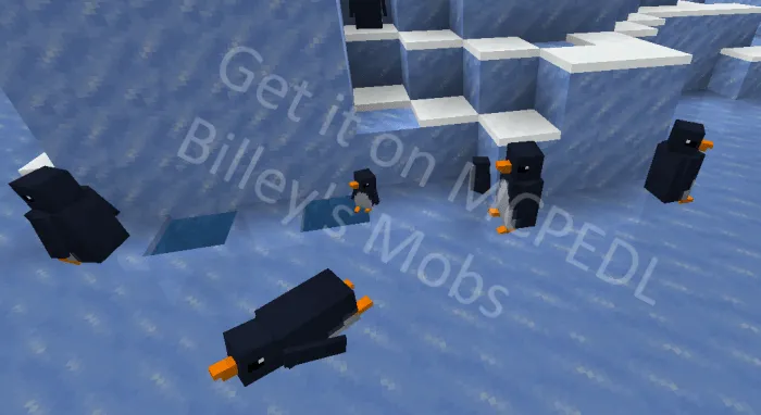 Penguin.
