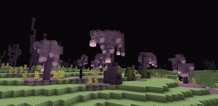 Blooming Fields: Screenshot 5