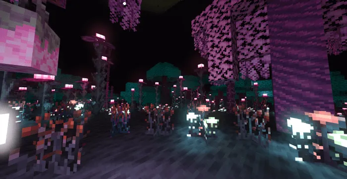 Endless Void with RTX: Screenshot 2