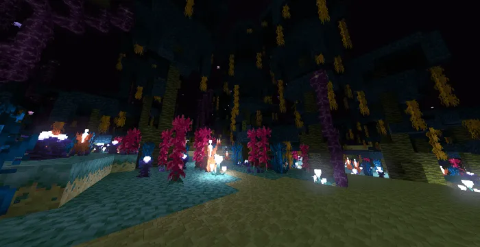 Endless Void with RTX: Screenshot 4