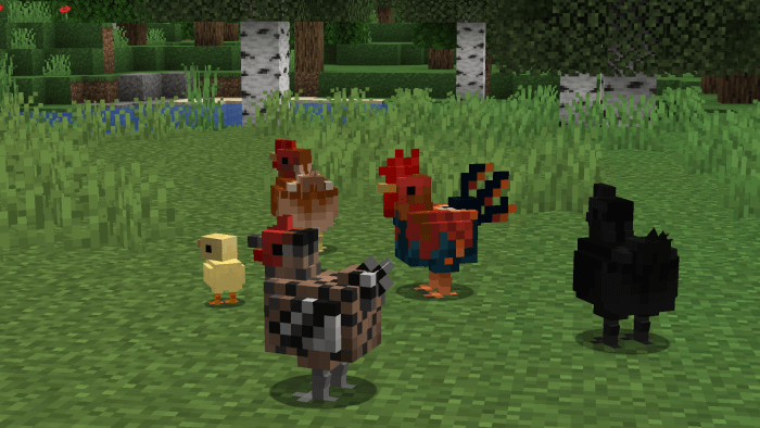 Better Chickens: Screenshot 2