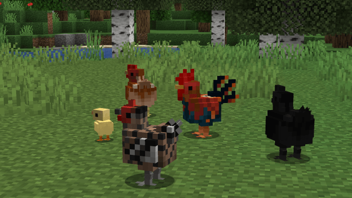 Revamped Chicken models