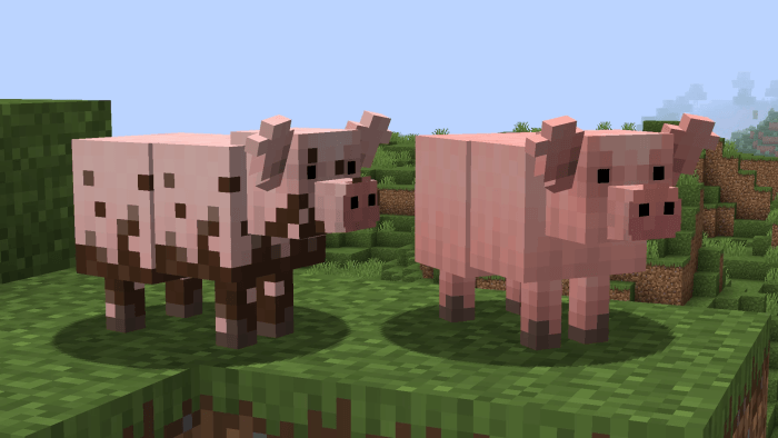 Revamped Pig models