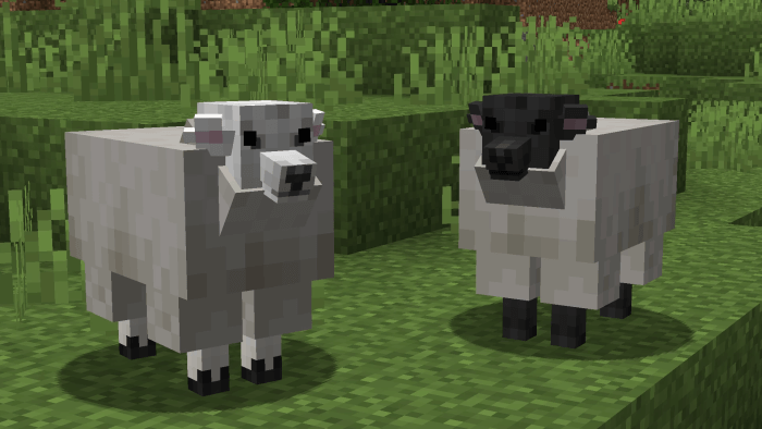 Better Sheep