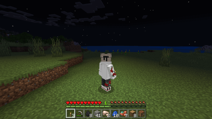 The Dynamic Torchlight in the Minecraft