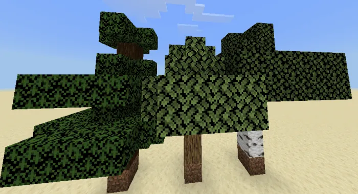 Trees and leaves