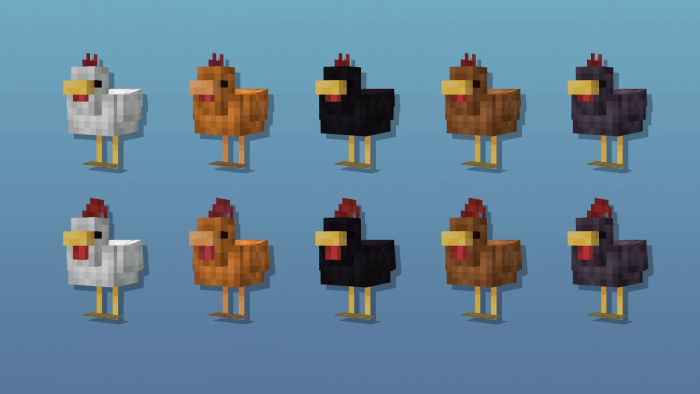 Cluckier Chickens (Screenshot 2)