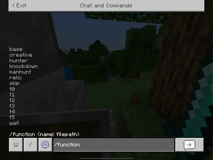 Chat function command