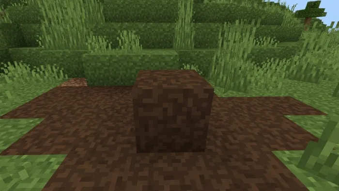 Mud Soil