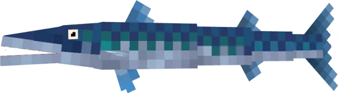 Barracuda