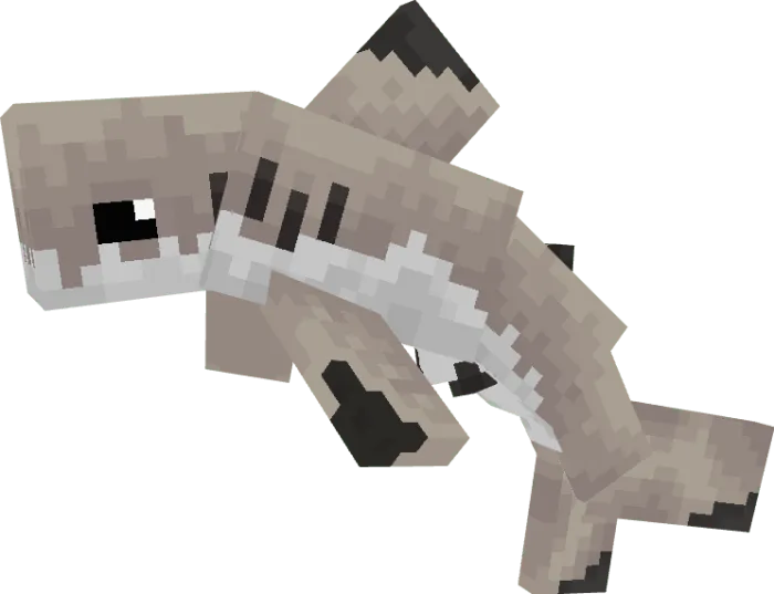 Blacktip Shark