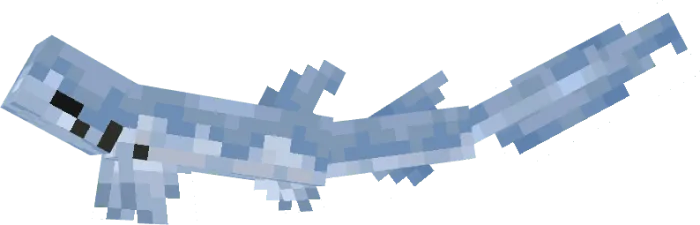 Cold Catshark