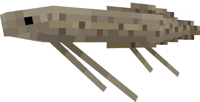 Lungfish