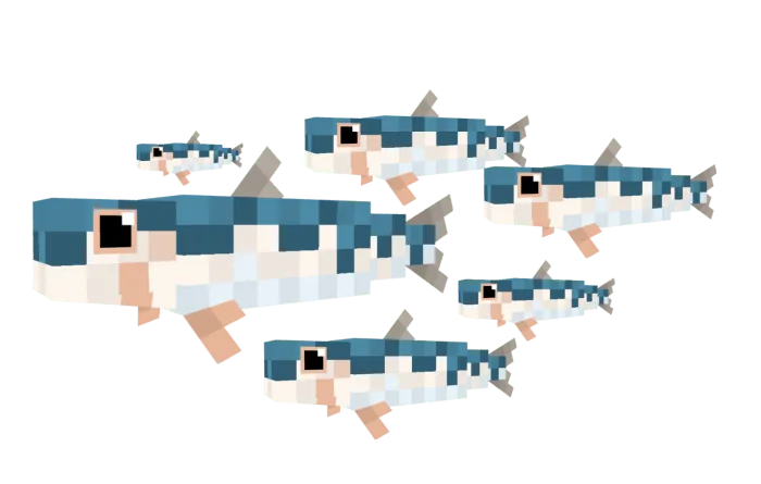 Sardine
