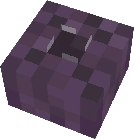 Sea Urchin block
