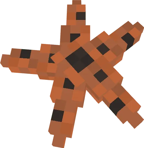 Starfish