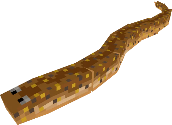 Swamp Eel