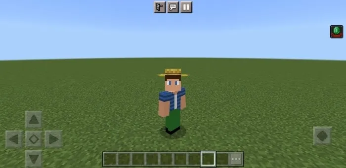 Villager Hat