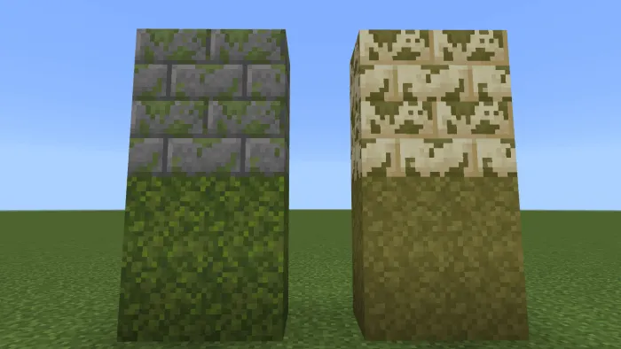 Driped Moss Blocks