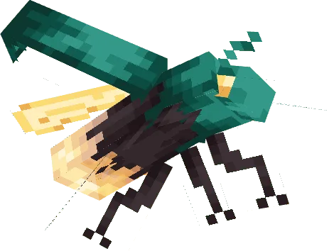 Warped Bettle