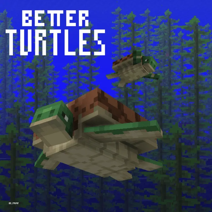 Better Turtles Banner