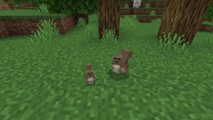 Squirrel: Screenshot 1