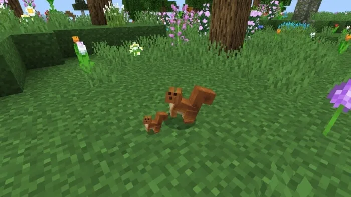 Squirrel: Screenshot 2