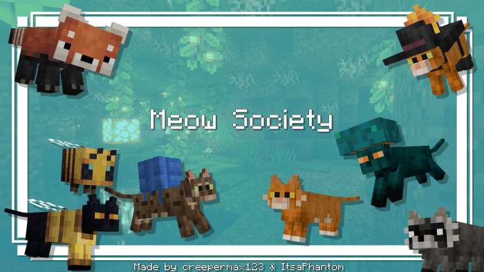 Meow Society Banner