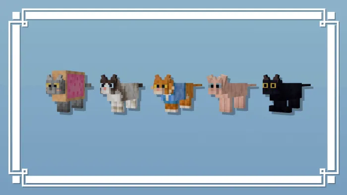 Name Specific Variants 2