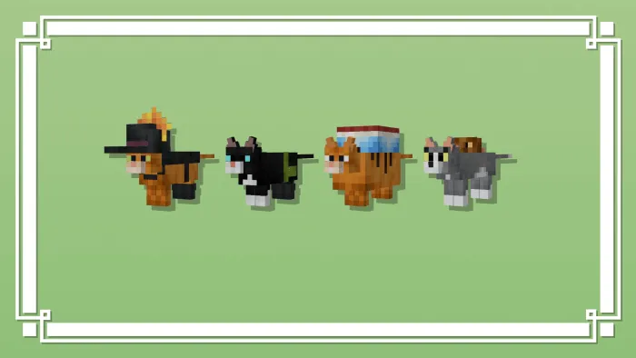 Name Specific Variants 4