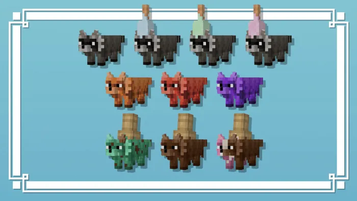 Name Specific Variants 5